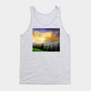 Eagles watch over the Valley Tank Top